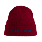 f111 merch burgandy color beanie with colapinto branding.
