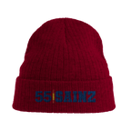 f111 merch burgandy color beanie with sainz branding.