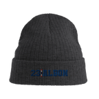 f111 merch dark-grey color beanie with albon branding.