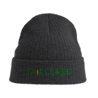 f111 merch dark-grey color beanie with alonso branding.