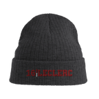 f111 merch dark-grey color beanie with leclerc branding.