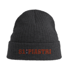 f111 merch dark-grey color beanie with piastri branding.