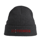 f111 merch dark-grey color beanie with tsunoda branding.