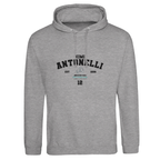 f111 merch heather-grey color hoodie with antonelli branding.