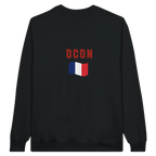 f111 merch black color sweatshirt1 with esteban-ocon branding.