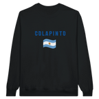 f111 merch black color sweatshirt1 with franco-colapinto branding.