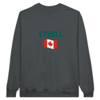 f111 merch charcoal color sweatshirt1 with lance-stroll branding.