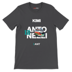 f111 merch dark-grey color t-shirt with antonelli branding.