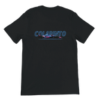 f111 merch black color t-shirt1 with franco-colapinto branding.