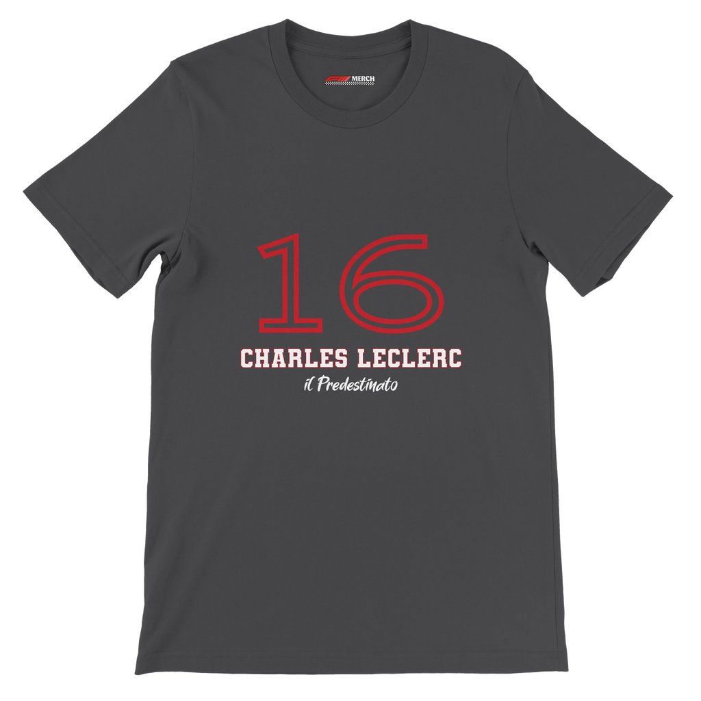 f111 merch dark-grey color t-shirt1 with charles-leclerc branding.