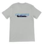 f111 merch silver color t-shirt1 with franco-colapinto branding.
